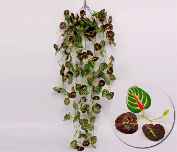 downLoadImg (10).jpg 